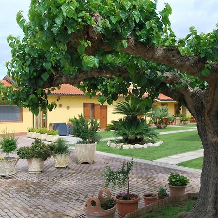 مبيت وإفطار Borgo Montenero Le Terre Di Bac المظهر الخارجي الصورة